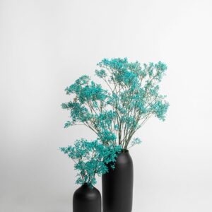 Serie Colorful. Flores preservadas verde