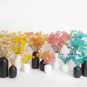 Serie Colorful. Flores preservadas. Creación de Kihana